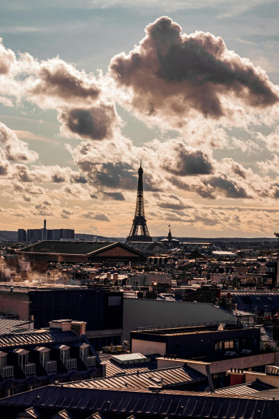 pexels-photo-19288556-medium